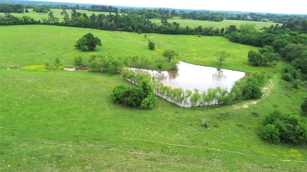 5189 County Road 4550, Pennington, Texas image 16