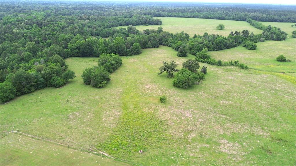 5189 County Road 4550, Pennington, Texas image 9