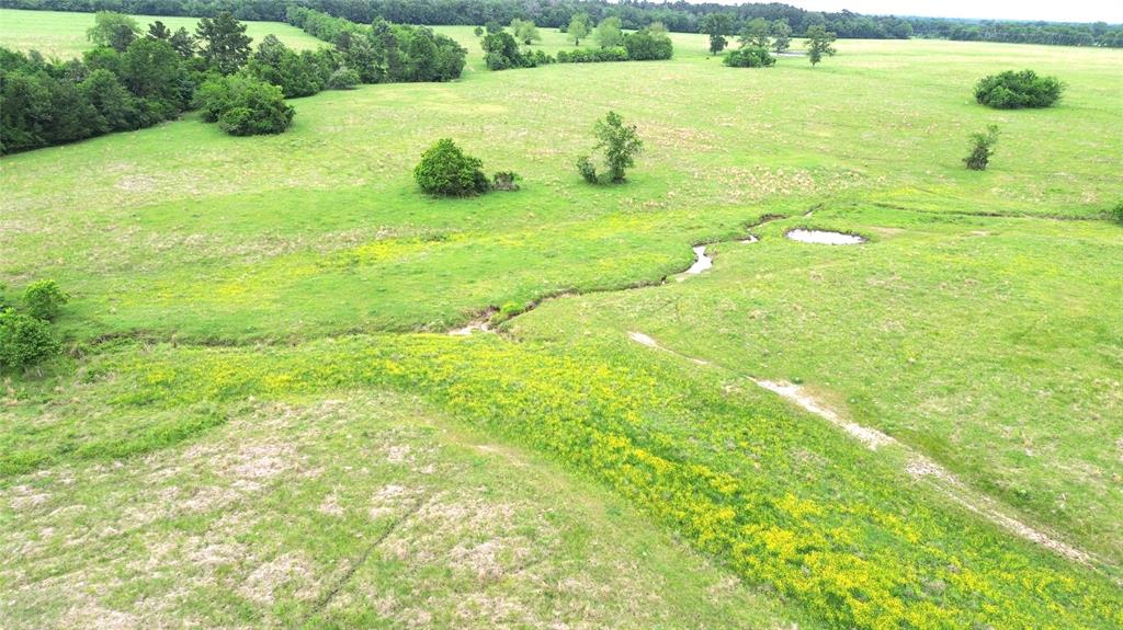 5189 County Road 4550, Pennington, Texas image 11