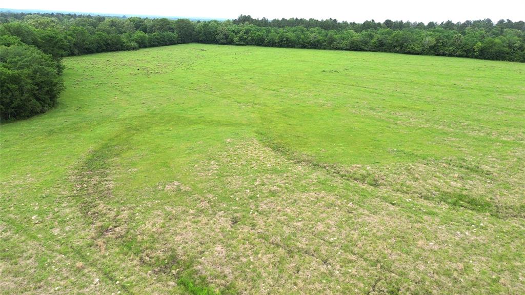 5189 County Road 4550, Pennington, Texas image 13
