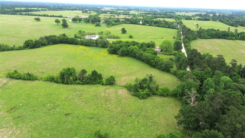 5189 County Road 4550, Pennington, Texas image 20