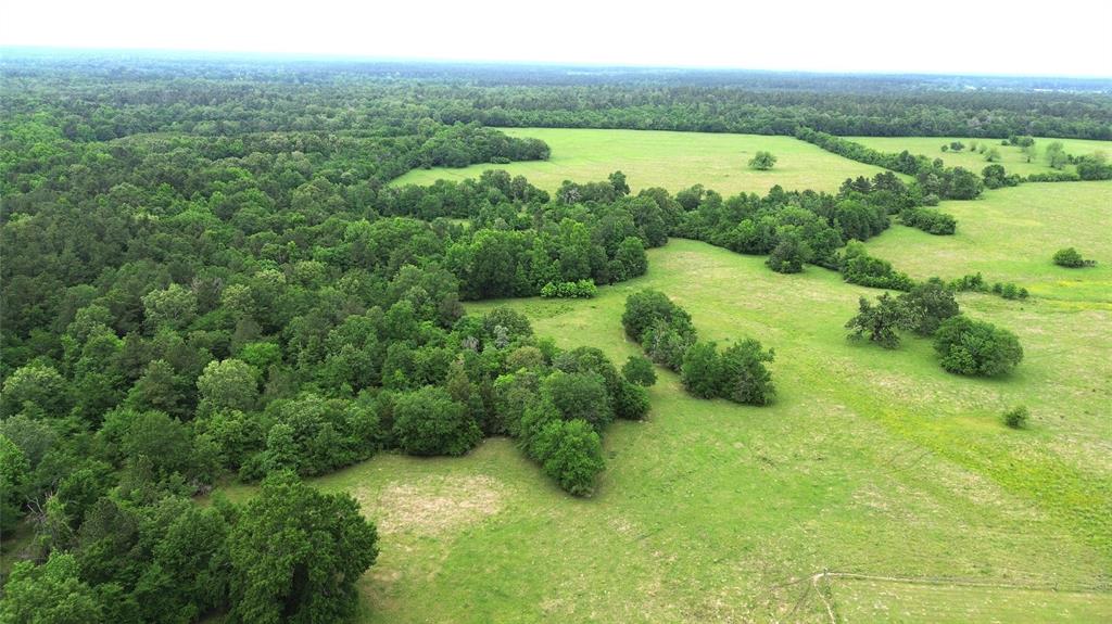 5189 County Road 4550, Pennington, Texas image 19