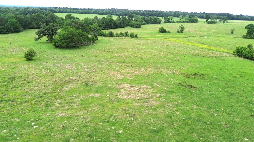 5189 County Road 4550, Pennington, Texas image 10
