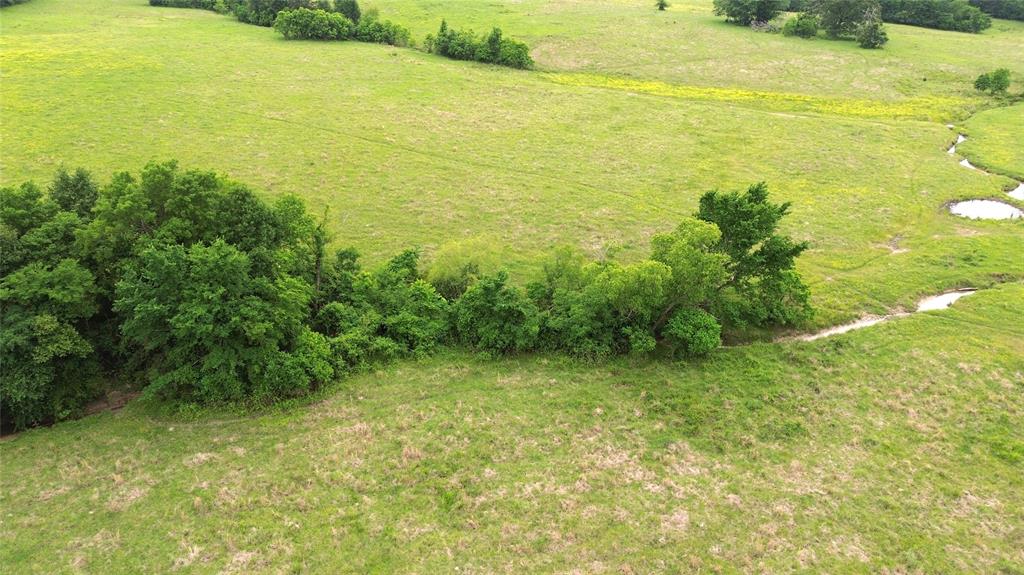 5189 County Road 4550, Pennington, Texas image 6