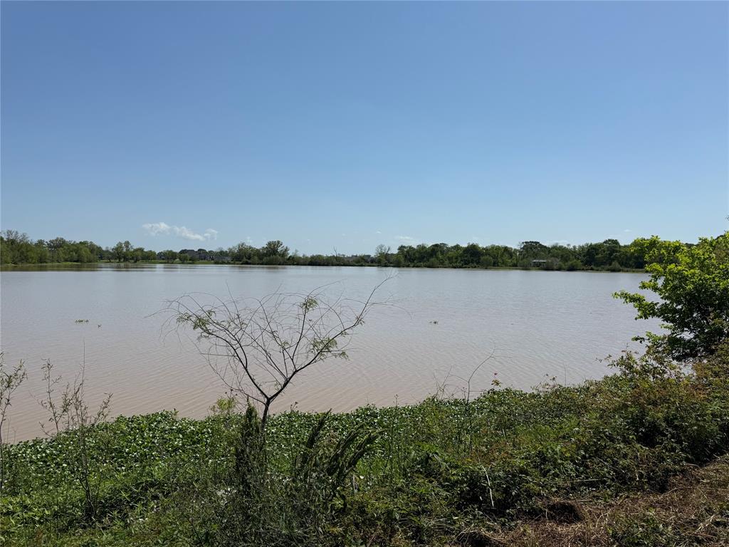21910 Chenango Lake Drive, Angleton, Texas image 9