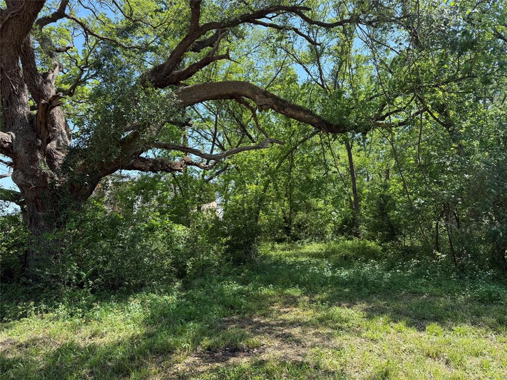 21910 Chenango Lake Drive, Angleton, Texas image 5