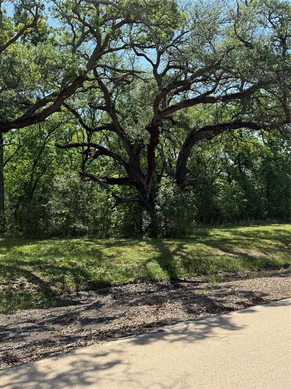 21910 Chenango Lake Drive, Angleton, Texas image 2