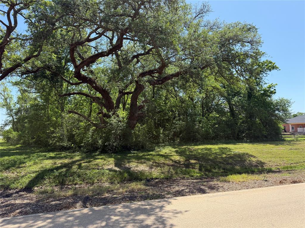 21910 Chenango Lake Drive, Angleton, Texas image 4