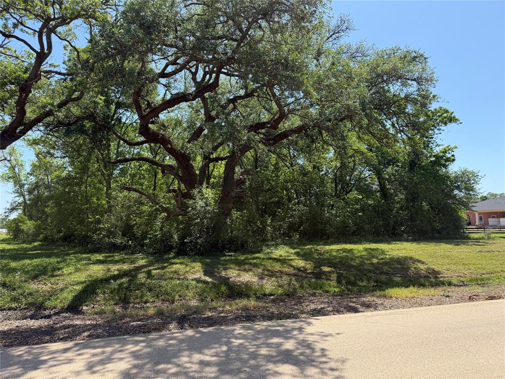 21910 Chenango Lake Drive, Angleton, Texas image 3