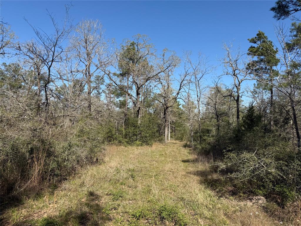 TBD Round Prairie Rd, Huntsville, Texas image 27