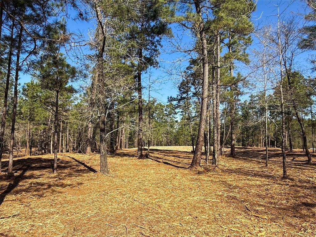 TBD Round Prairie Rd, Huntsville, Texas image 20