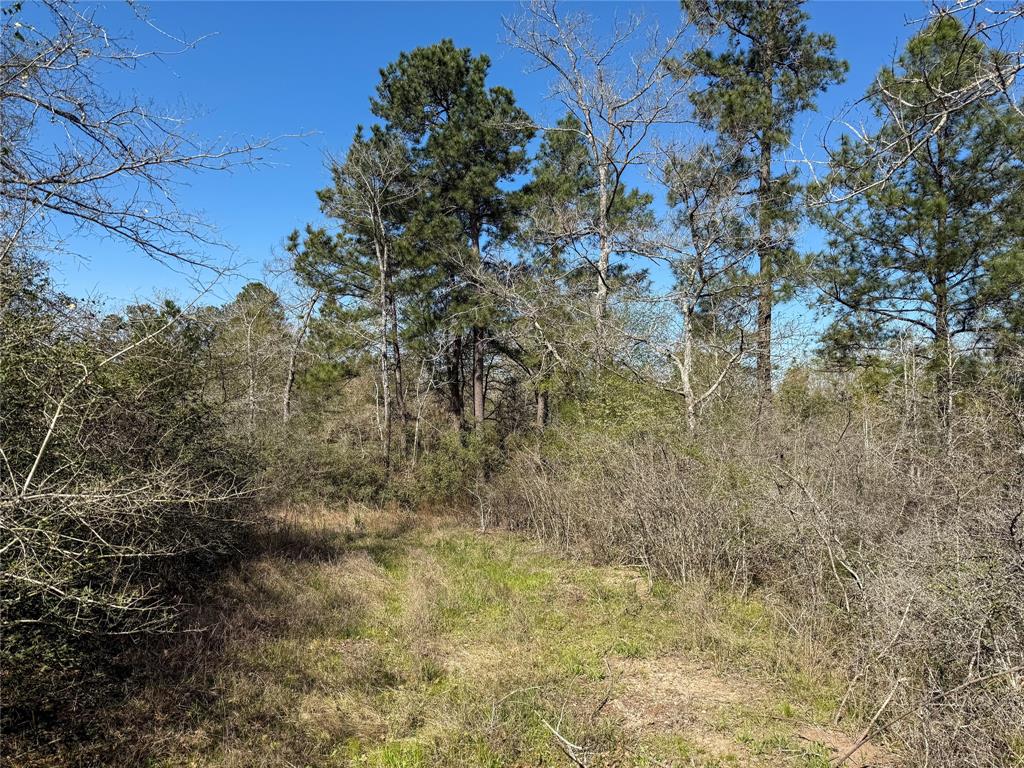 TBD Round Prairie Rd, Huntsville, Texas image 35