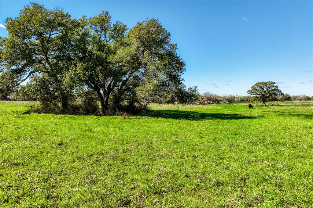 7260 Goehring Road, Ledbetter, Texas image 3