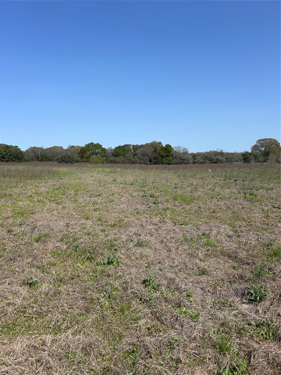 23060 Mack Washington Lane, Hempstead, Texas image 6