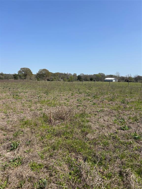 23060 Mack Washington Lane, Hempstead, Texas image 7