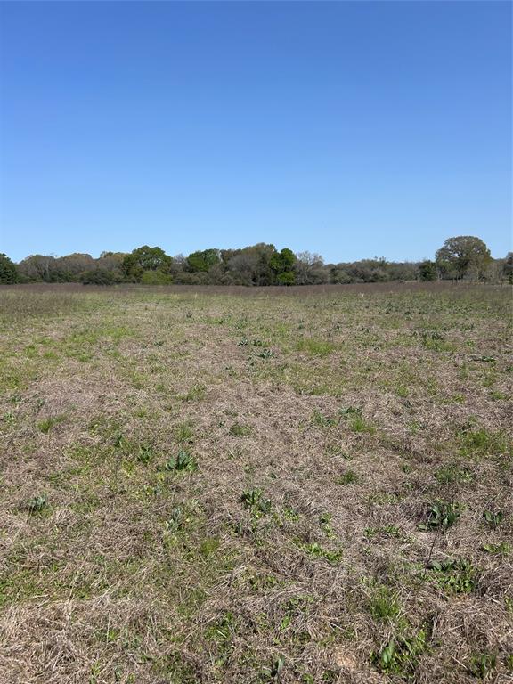 23060 Mack Washington Lane, Hempstead, Texas image 5