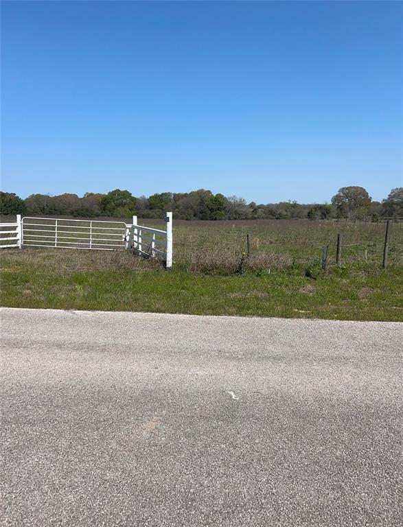 23060 Mack Washington Lane, Hempstead, Texas image 9