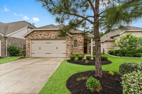 205 Emory Birch Drive Montgomery TX 77316