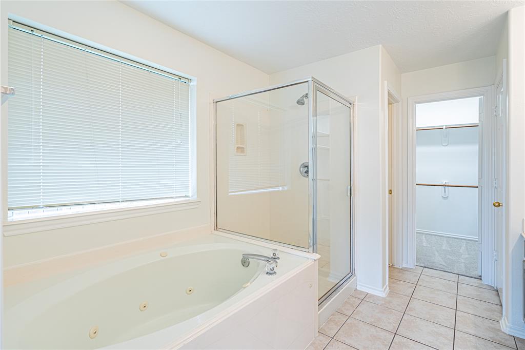 5107 S Blanco Drive, Pearland, Texas image 21