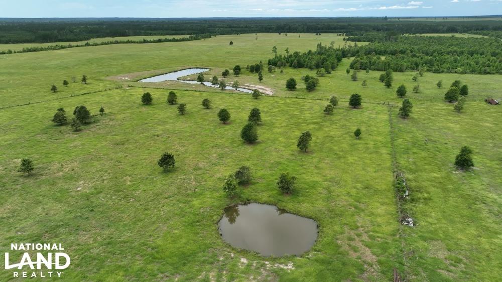 1560 Sonny Sailer Rd, Groveton, Texas image 9