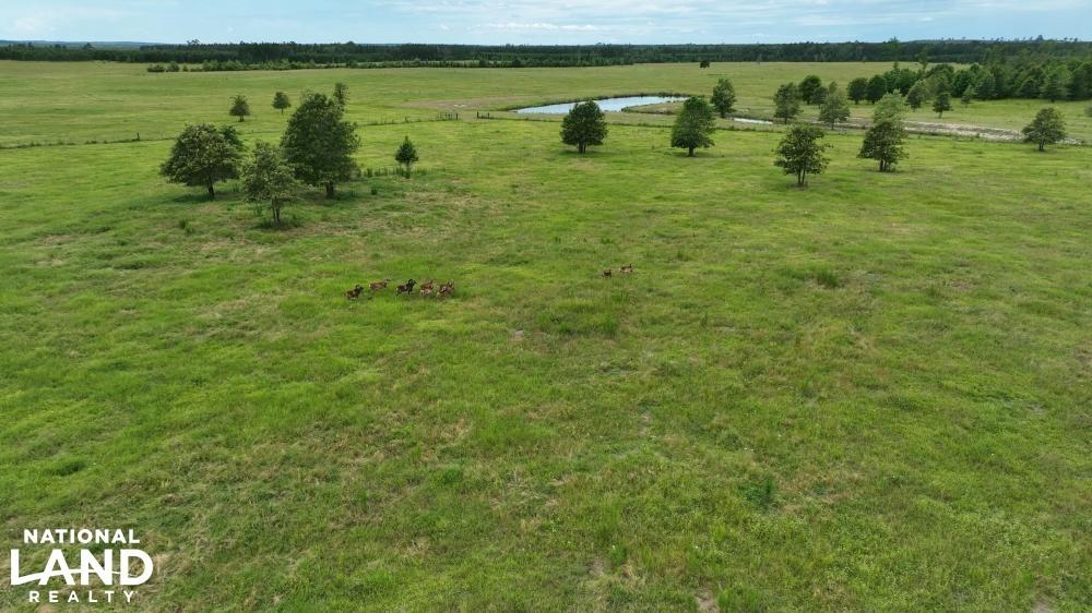 1560 Sonny Sailer Rd, Groveton, Texas image 18