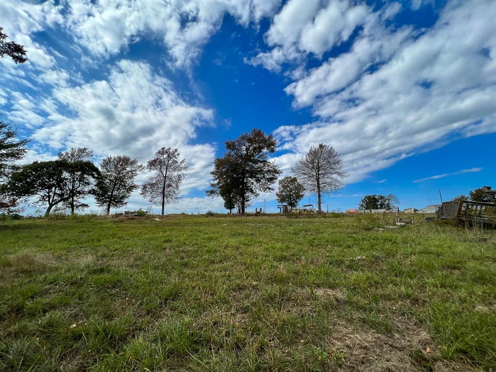 I-45 Frontage Road, Huntsville, Texas image 10