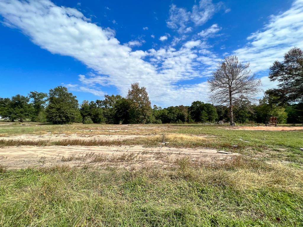 I-45 Frontage Road, Huntsville, Texas image 9