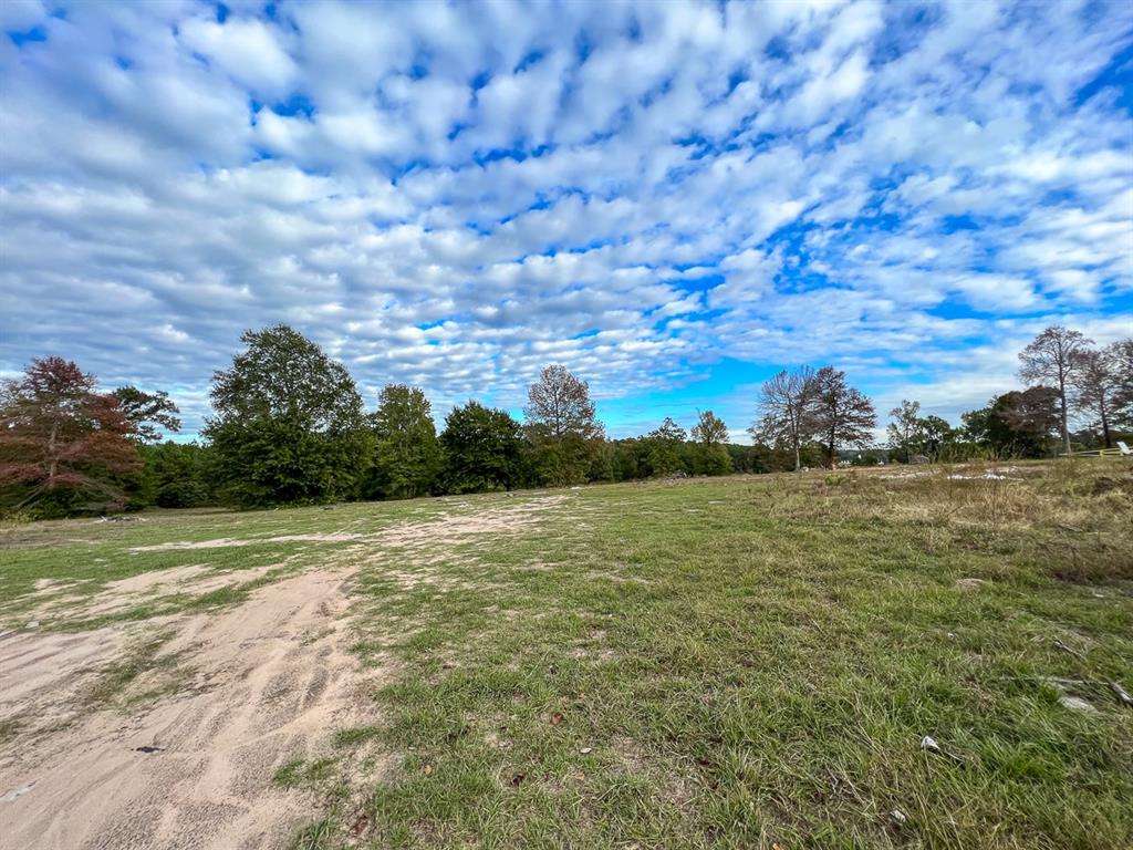 I-45 Frontage Road, Huntsville, Texas image 16