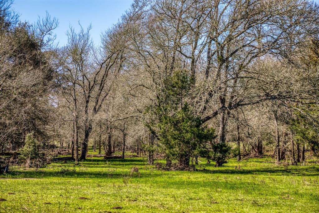 444 N Nassau Road, Round Top, Texas image 10