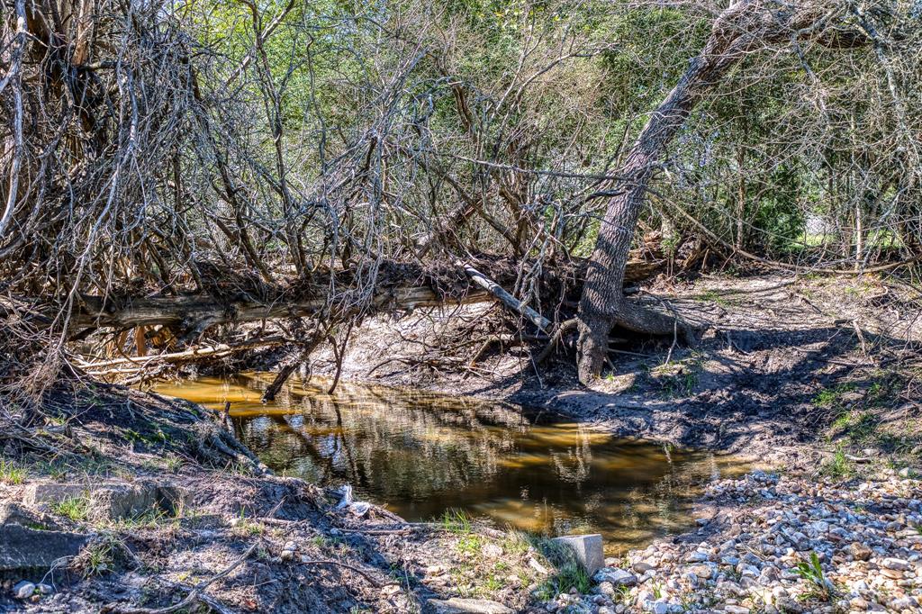 444 N Nassau Road, Round Top, Texas image 7