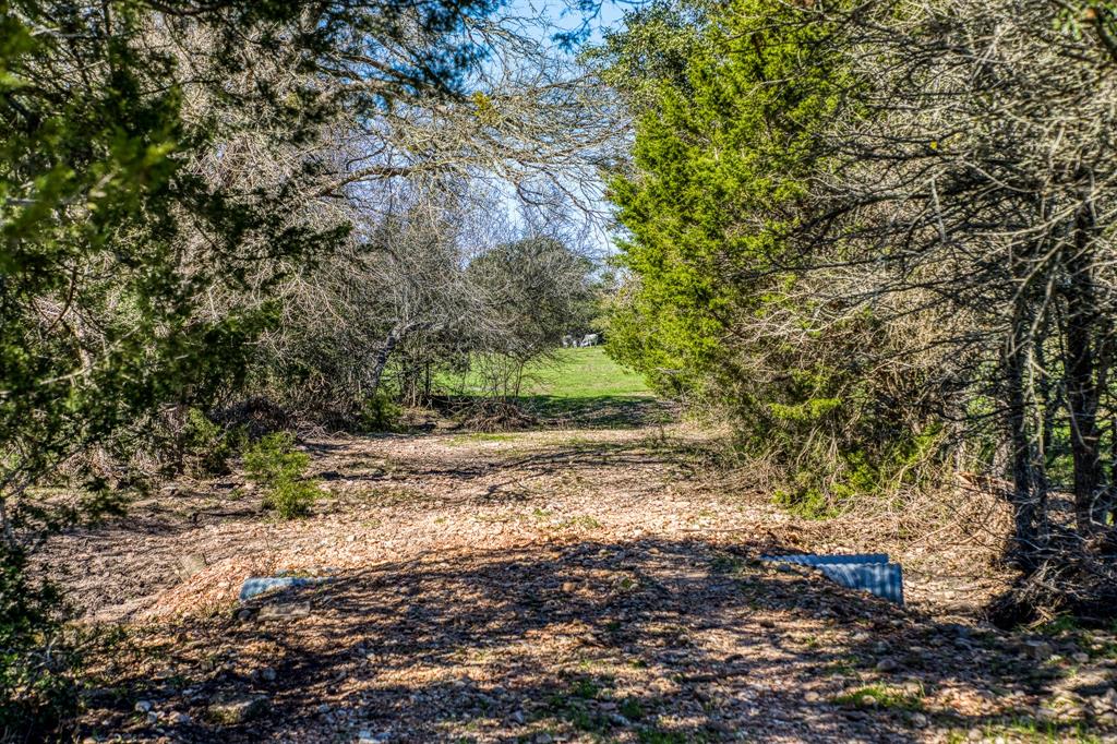 444 N Nassau Road, Round Top, Texas image 6