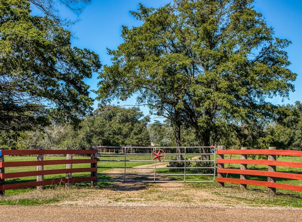 444 N Nassau Road, Round Top, Texas image 1