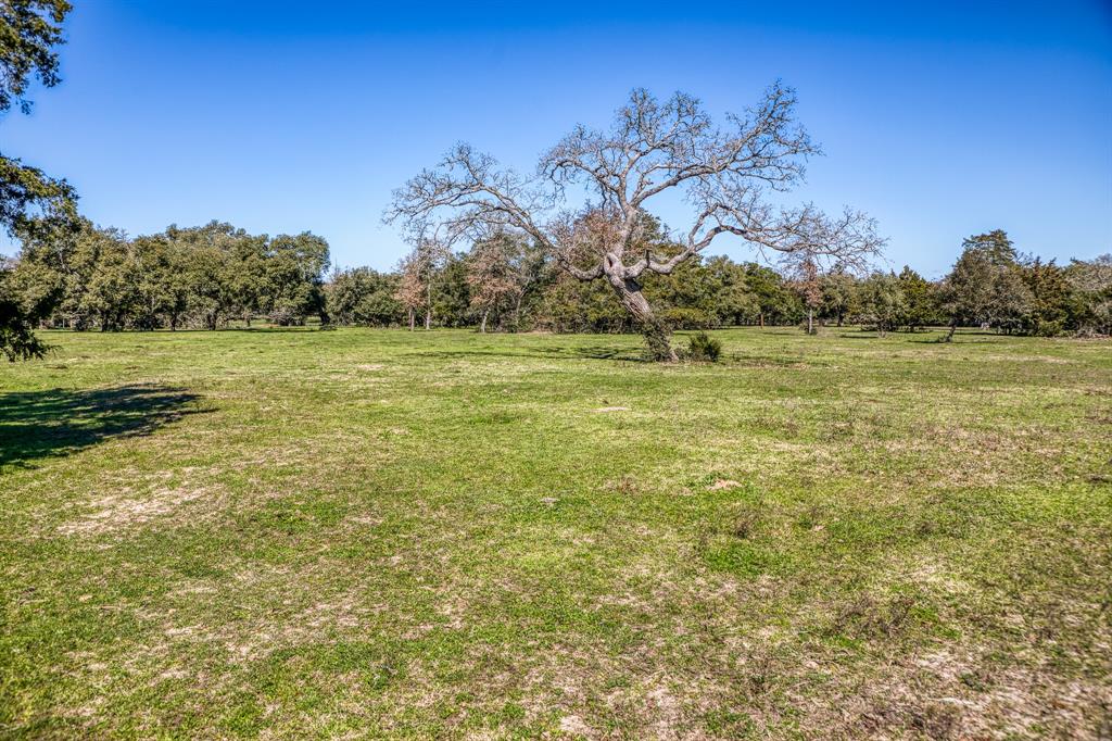 444 N Nassau Road, Round Top, Texas image 12