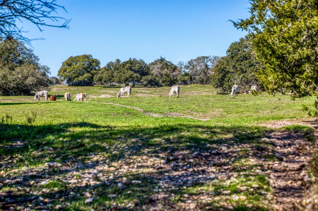 444 N Nassau Road, Round Top, Texas image 9