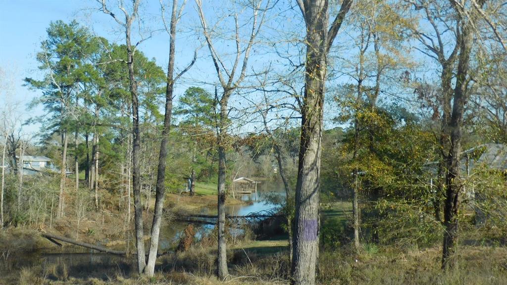 8 Dogwood Lane, Huntsville, Texas image 14