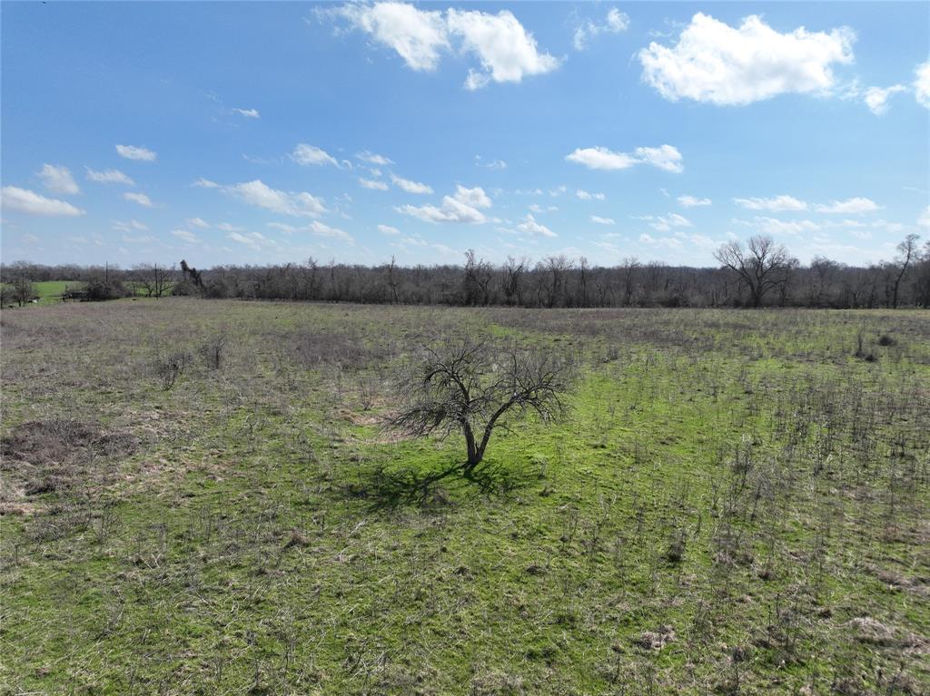 Fm 331, Bellville, Texas image 34