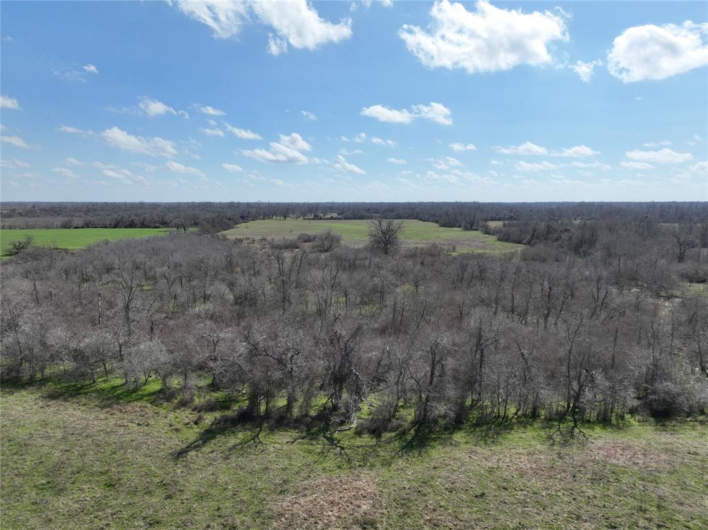 Fm 331, Bellville, Texas image 35