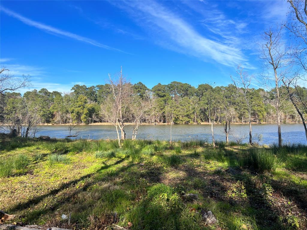 W Lakelane, Houston, Texas image 7