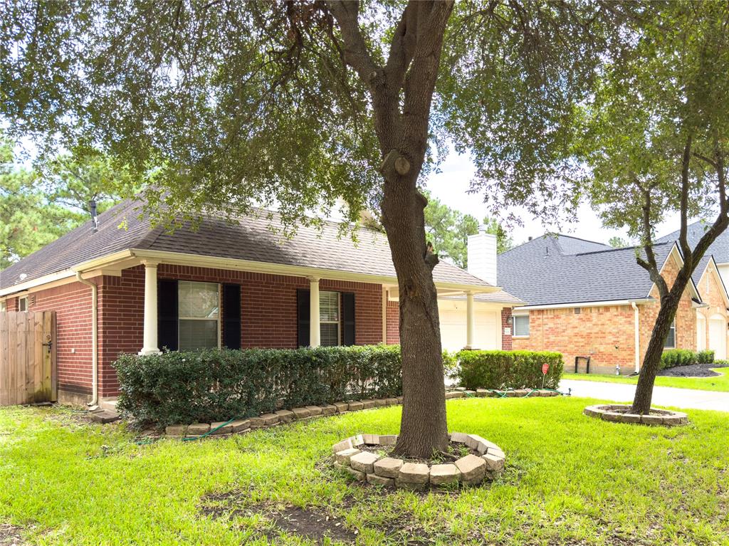 11126 Muleshoe Court, Houston, Texas image 4