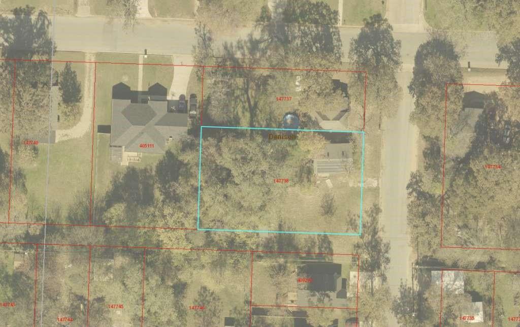 1007 S Scullin Avenue, Denison, Texas image 2