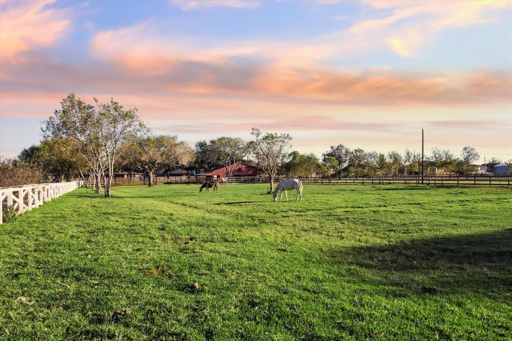 503 W Viejo Drive, Friendswood, Texas image 47