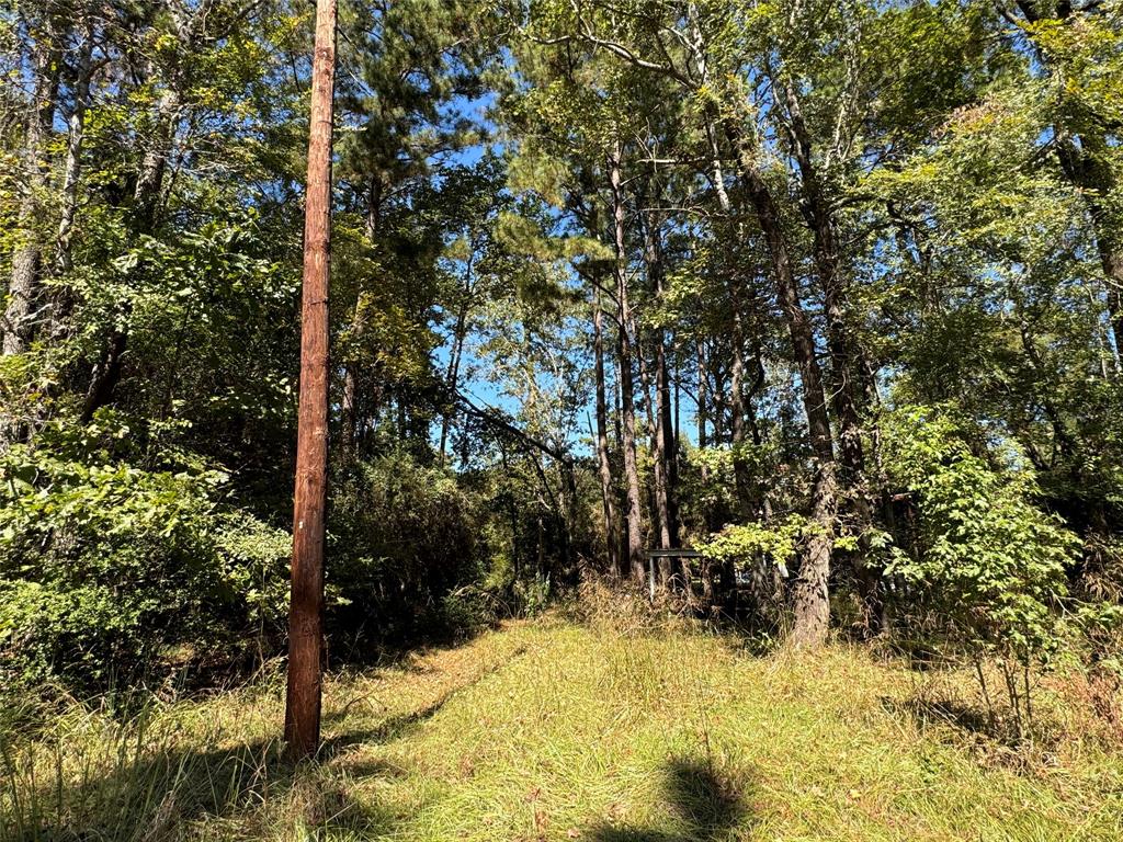 TBD Westwood Trail, Trinity, Texas image 1