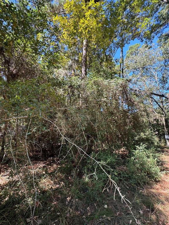 TBD Westwood Trail, Trinity, Texas image 2