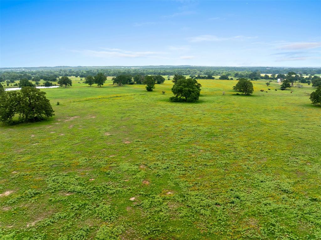 TBD Fm 141 - 43b, Giddings, Texas image 8