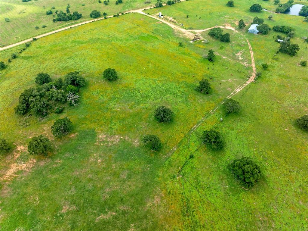 TBD Fm 141 - 43b, Giddings, Texas image 10