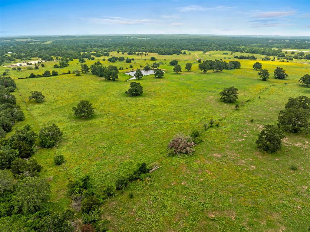 TBD Fm 141 - 43b, Giddings, Texas image 19