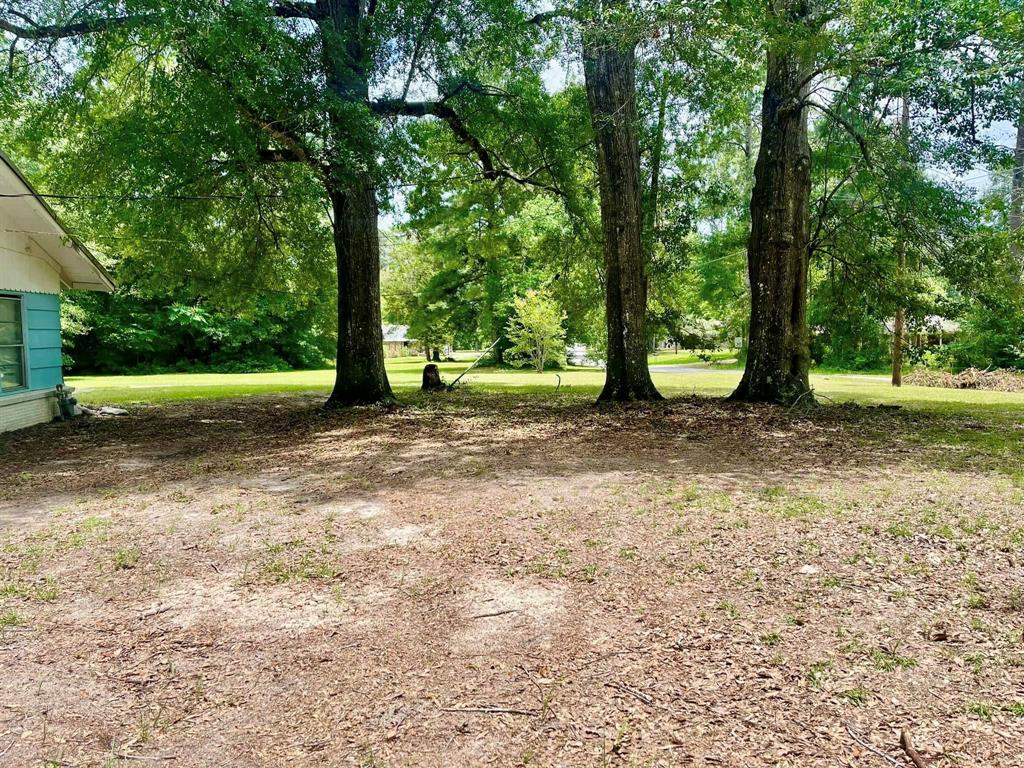 1008 N Nellius Street, Woodville, Texas image 8