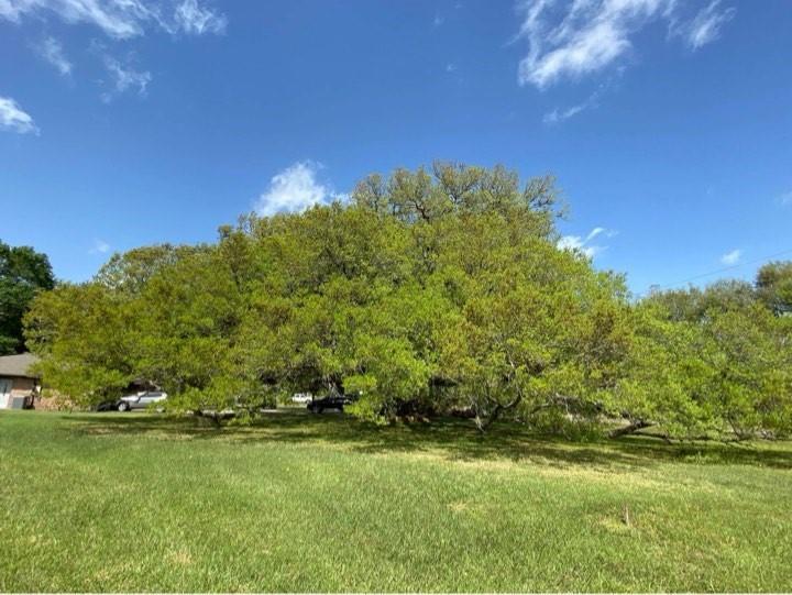 1819 Y U Jones Road, Richmond, Texas image 1