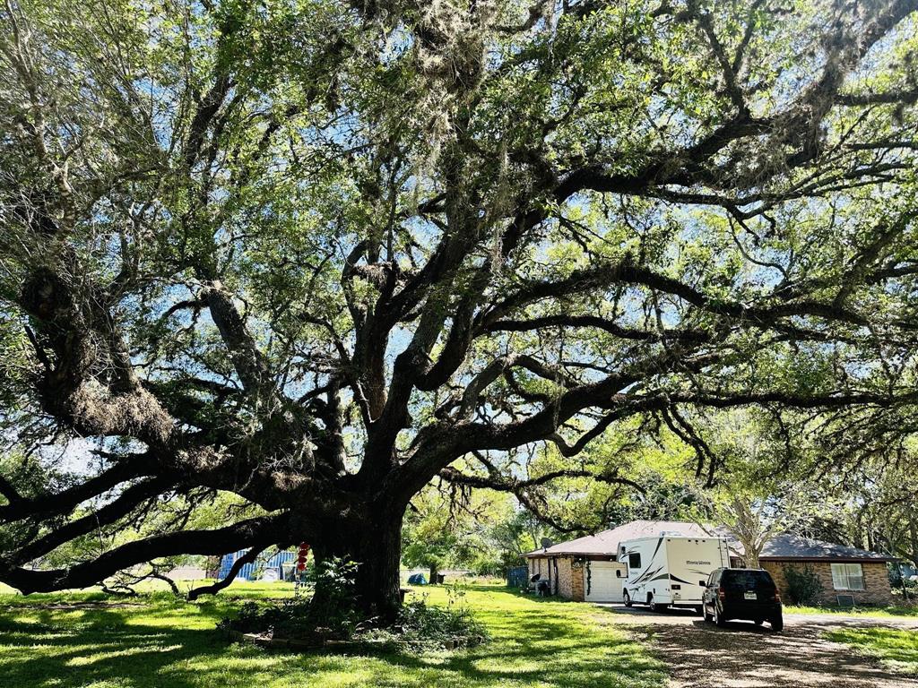 1819 Y U Jones Road, Richmond, Texas image 2