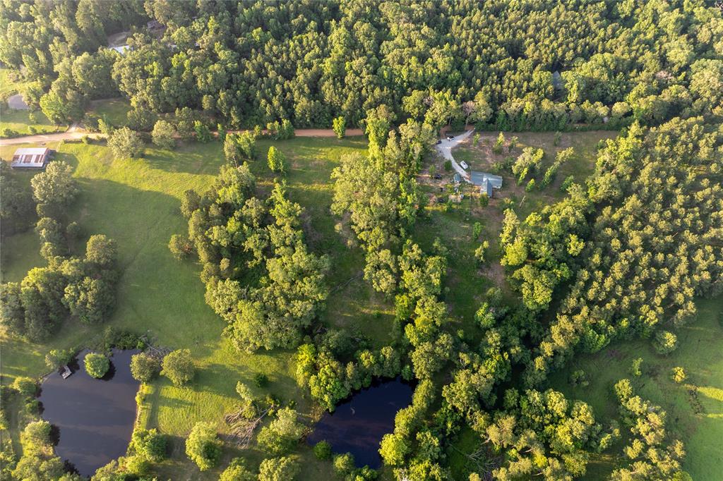 5332 County Road 1180, Kennard, Texas image 8